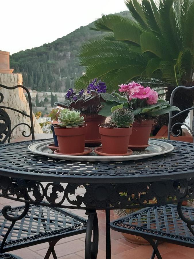 Luxury Sea View Apartments Dubrovnik Bagian luar foto